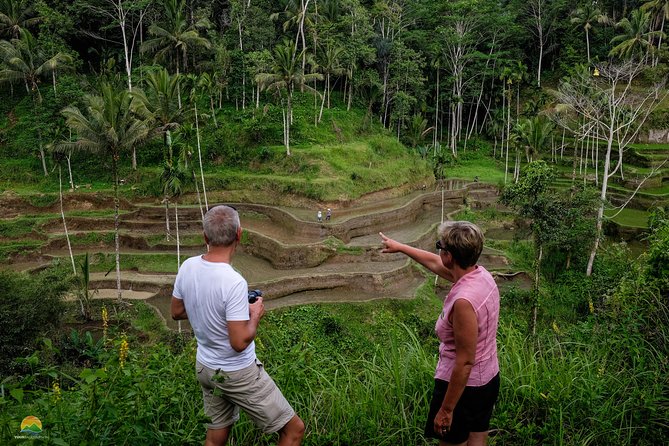 Private Tour: Balinese Culture and Scenery (visit ubud area) - Timing, comfort, and what to pack