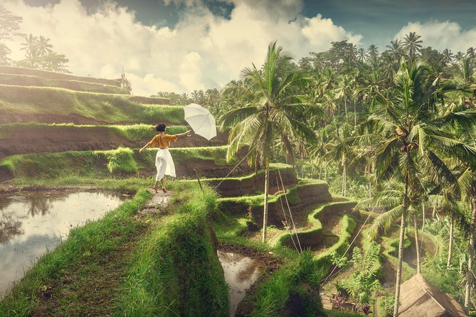 Private Tour: Best of Bali - All Inclusive Tickets - Tegenungan Waterfall and the climb back up