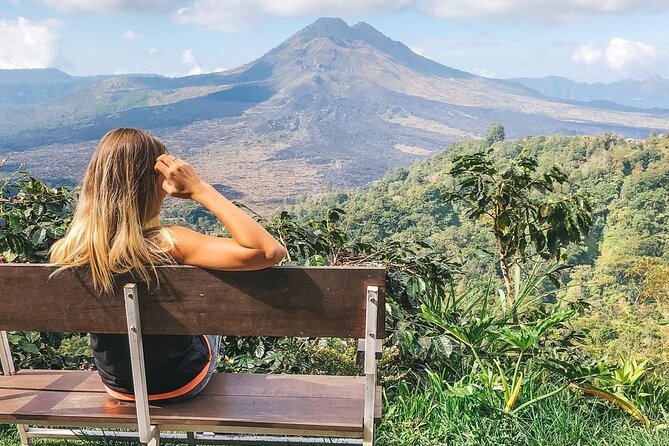Private Tour: Best of Bali - All Inclusive Tickets - Tegalalang Rice Terrace, the photogenic finale