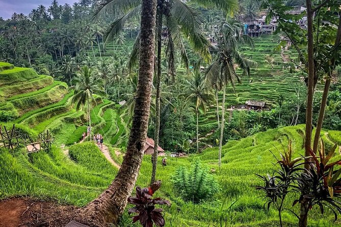 Private Tour: Best of Bali - All Inclusive Tickets - Batuan Temple, a graceful first stop