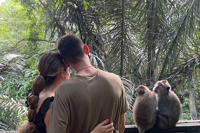 Private tour, discover the beauty of bali - Entering the Sacred Monkey Forest Sanctuary