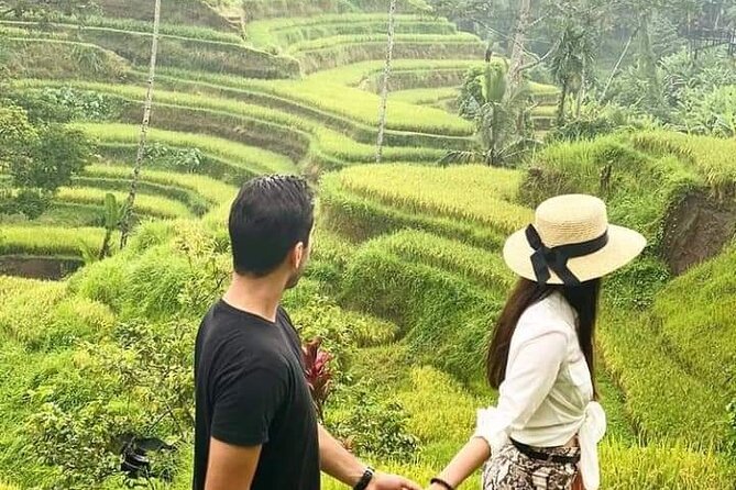 Private tour, discover the beauty of bali - Lunch views among Jatiluwih’s rice terraces