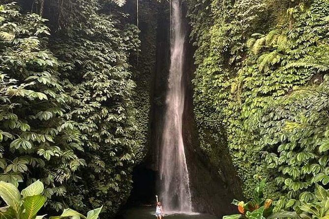 Private tour, discover the beauty of bali - What the private car and driver-guide add