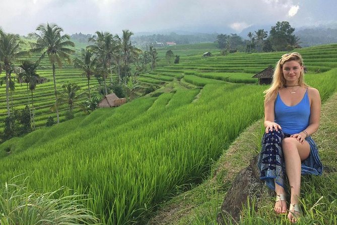 Private Tour Highlight of Bedugul and Jatiluwih Rice Terrace - Who should book this private route?