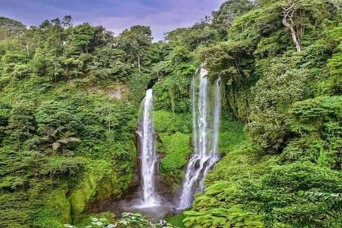 Private Tour Sekumpul Waterfall Combination Beratan Temple & Twin Lakes - Why Sekumpul Waterfall deserves the long approach