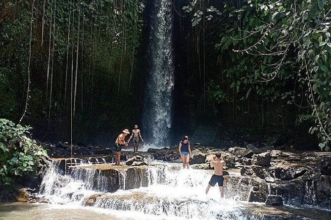 Private Tour to Sumampan Waterfall, Monkey forest, Rice terraces and Swing - Ubud Traditional Art Market and Balinese painting