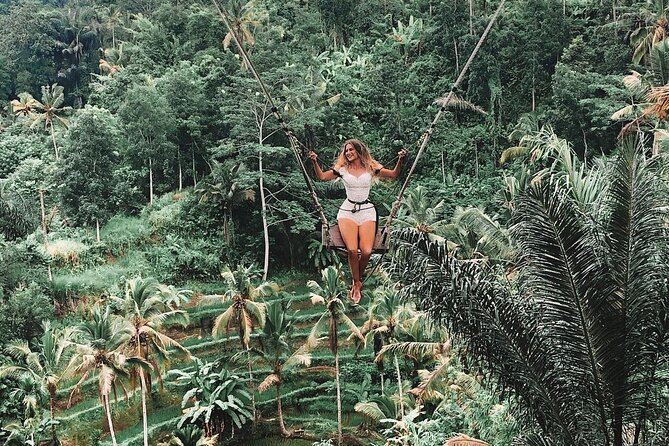 Private Tour to Sumampan Waterfall, Monkey forest, Rice terraces and Swing - Batuan Temple and the language of Balinese gates