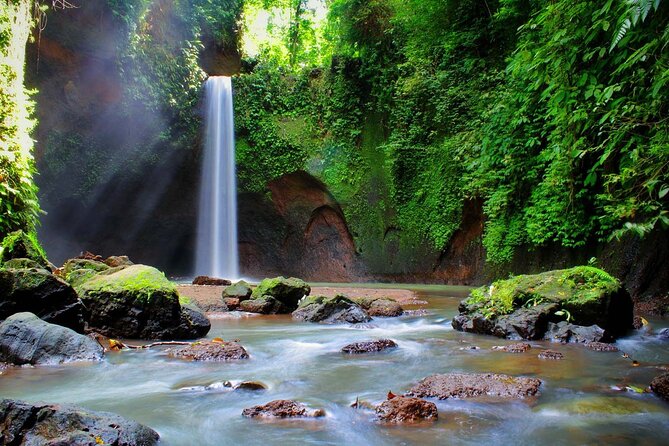 Private Tour To Tibumana Waterfall, rice terraces & Jungle Swing - Why this private route works well in Bali