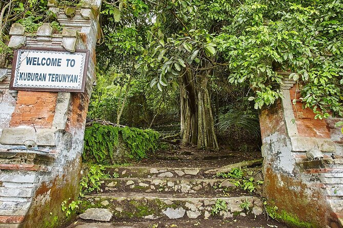 Private Tour to Trunyan Village "Skull Island of Bali" - Lunch with views in the Kintamani highlands