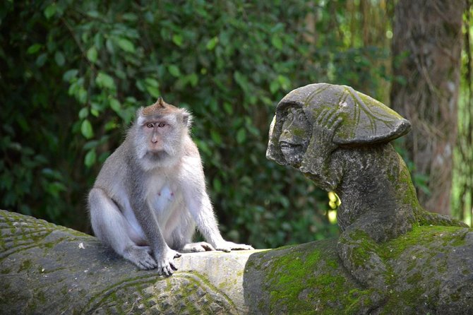 Private Tour: Ubud Day Tour with Traditional Offering Lesson - Lunch beside rice fields