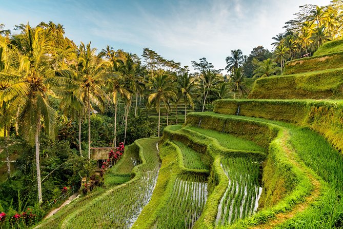 Private Ubud Day Tour - A cool break at Tegenungan Waterfall