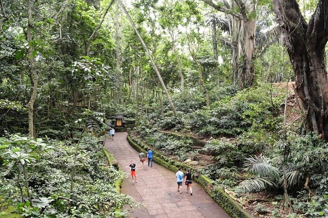 Private Ubud Day Tour - One hour among the macaques at Sacred Monkey Forest