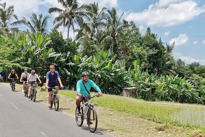 Private Ubud Downhill Cycling with Volcano, Rice Paddies & Meal - 7:00 a.m. pickup and breakfast in Ubud