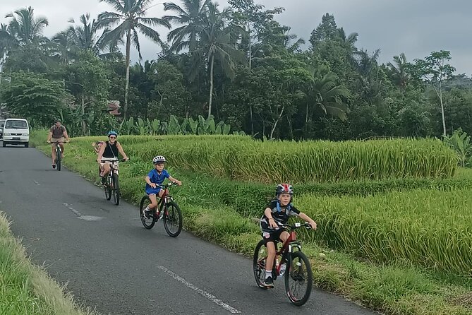 Private Ubud Downhill Cycling with Volcano, Rice Paddies & Meal - Two hours through Manukaya’s countryside