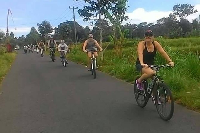 Private Ubud Downhill Cycling with Volcano, Rice Paddies & Meal - What the private format is worth at $75