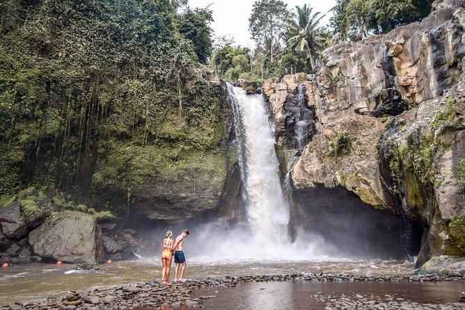 Private Ubud Tour - A big Ubud day, from rice fields to a waterfall