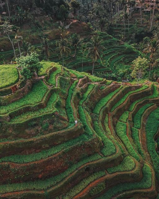 Private ubud tour Rice teracce, temple & Secret waterfall - Tibumana Waterfall for the final nature stop