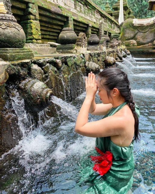 Private ubud tour Rice teracce, temple & Secret waterfall - What the $24 price really covers