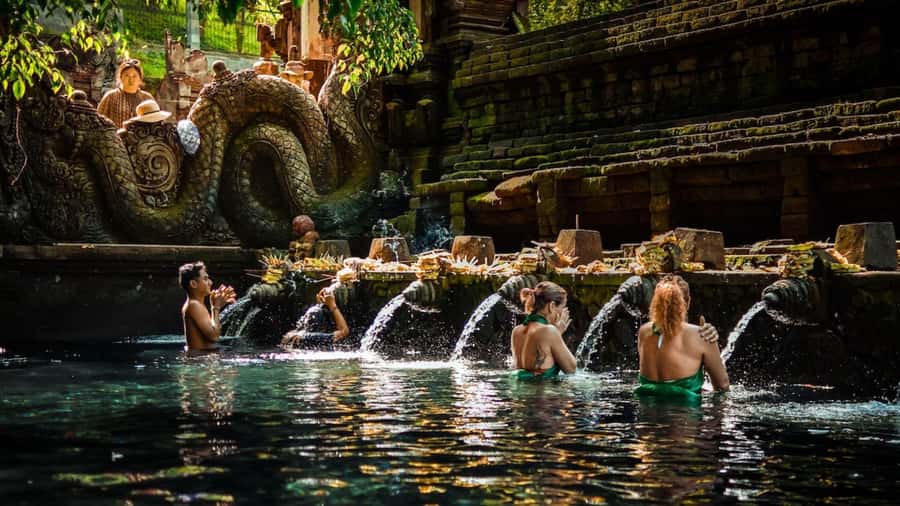 Private Ubud Tour: Sacred Monkeys, Coffee, Temple, Waterfall - Key points about this Ubud day tour