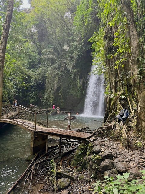 Private Ubud Tour: Sacred Monkeys, Coffee, Temple, Waterfall - Who will enjoy this tour most