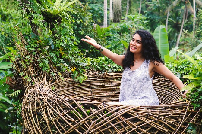 Private Ubud Tour: Waterfall, Rice Terrace & Monkey Forest - What the private vehicle adds