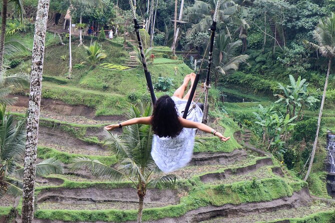 Private Ubud Tour: Waterfall, Rice Terrace & Monkey Forest - Is $39 good value?