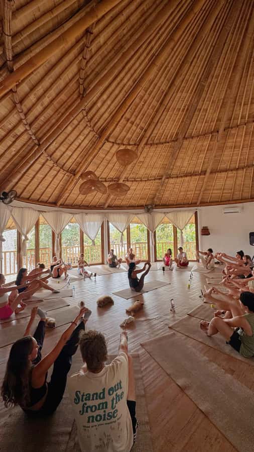 Puppy Yoga in Bali, Ubud & Uluwatu - Gentle yoga with plenty of interruptions
