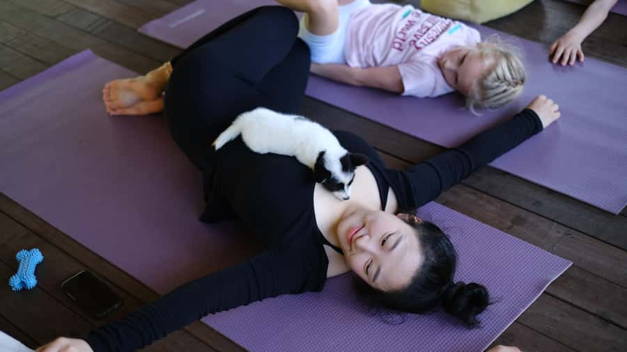 Puppy Yoga in Bali, Ubud & Uluwatu - What the $40 price buys you