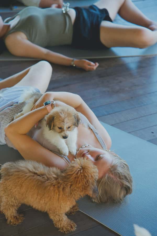 Puppy Yoga in Bali, Ubud & Uluwatu - Ubud or Uluwatu: choosing the better setting