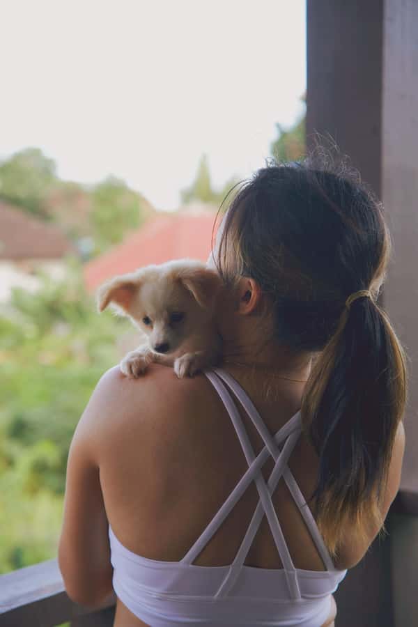 Puppy Yoga in Bali, Ubud & Uluwatu - Starting the session in Ubud or Uluwatu