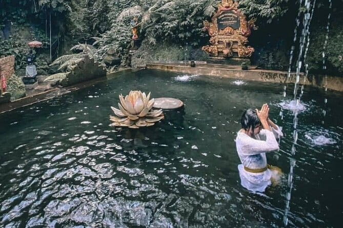 Purification Ceremony, Kehen Temple and Goa Raja Waterfall Tour - What the $55 price really covers