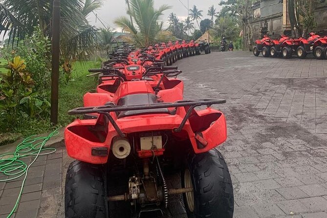 Quadbike Adventure with Tunnel and Waterfall Tour in Bali - My advice for making the booking