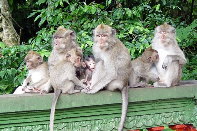 Royal Family Temple, Monkey Forest, and Tanah Lot Sunset Tour - The private format and guide quality
