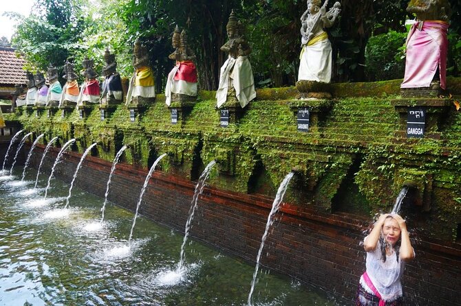 Sangeh Monkey Forest, Jatiluwih & Batukaru Temple Tour - What the private minivan changes