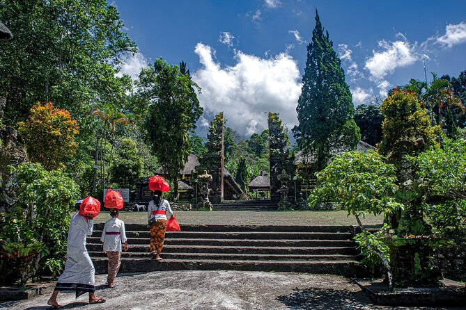 Sangeh Monkey Forest, Jatiluwih & Batukaru Temple Tour - The big views at Jatiluwih Green Land