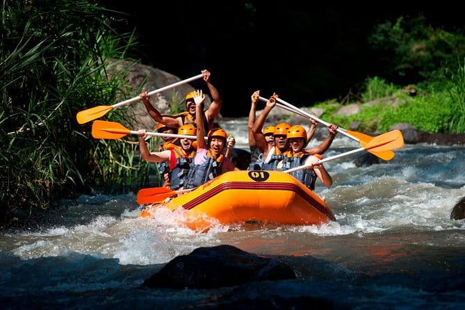 Sekumpul Waterfall All-Inclusive Tour with Guide and Transport - Who will enjoy this most
