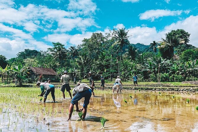 Sidemen Trekking: A Walk from a Different Perspective - What the views are really like