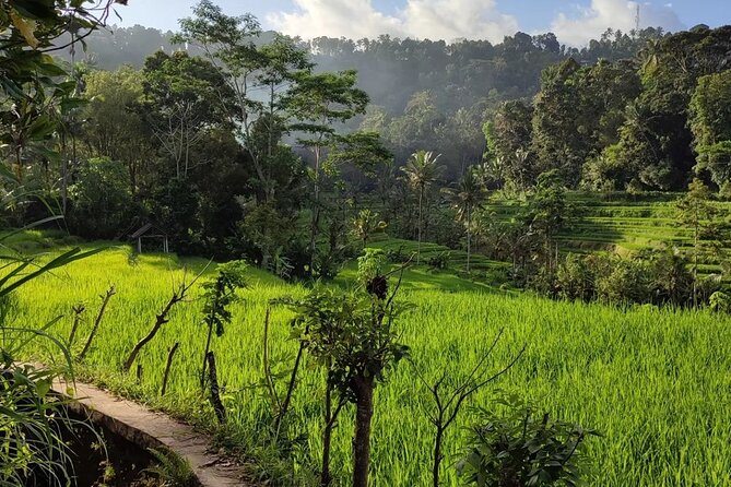 Sidemen Trekking: A Walk from a Different Perspective - Finishing at Warung Ume Anyar