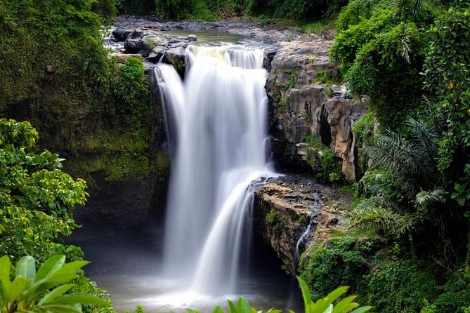 Skip-the-Line: Ubud Tour - All Inclusive Tickets - Coffee, tea, and the plantation visit