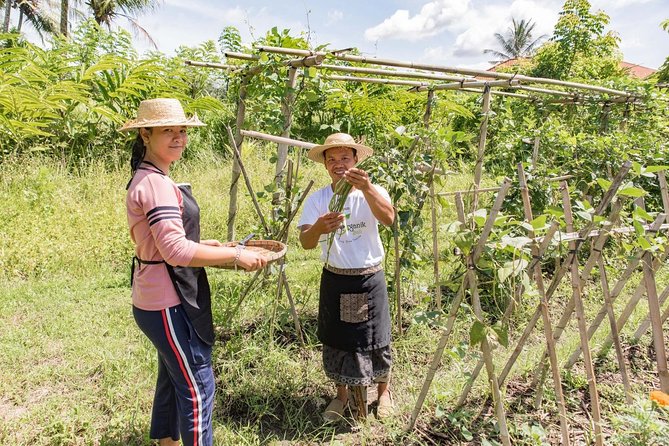 Small-Group Farm Tour & Balinese Cooking Class in Ubud with Kadek - Meeting Kadek and settling into the kitchen