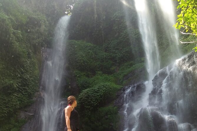 Small-Group Sekumpul Waterfall Jungle Trek with Lunch - Walking through rice fields, coffee, and clove country