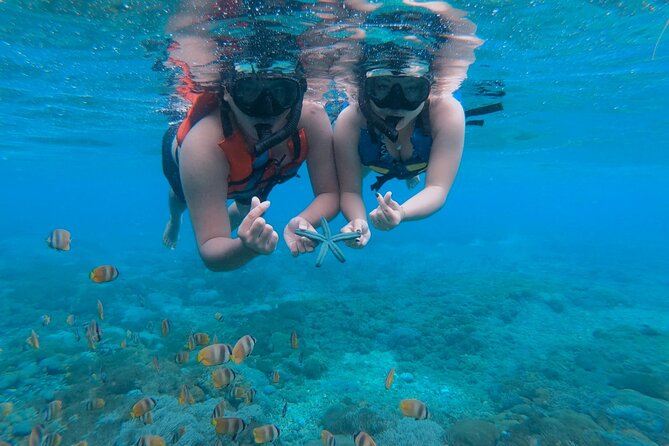 Snorkeling 4 Spots, Manta Rays, Tembeling Pool & Kelingking Beach - Why this Nusa Penida day is so appealing