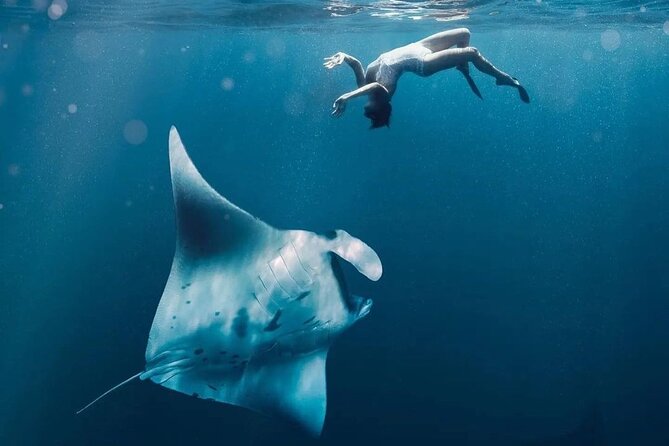 Snorkeling 4 Spots, Manta Rays, Tembeling Pool & Kelingking Beach - Manta Bay: the big promise with no guarantee