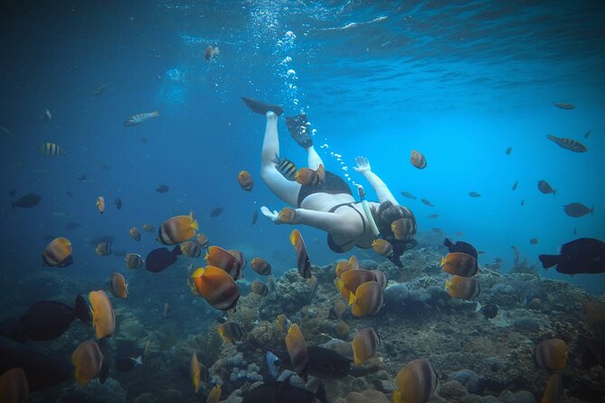 Snorkeling 4 Spots, Manta Rays, Tembeling Pool & Kelingking Beach - Tembeling Beach, forest, and natural pool