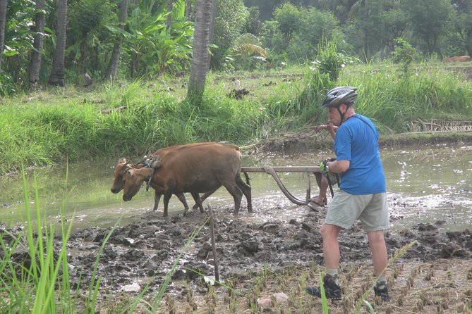 Snorkeling & Trekking at West Bali National Park - Day two: Jayaprana, Layon Sari, and the forest trail
