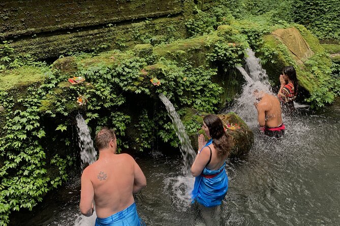 Spiritual Cleansing Ritual and Shamanic Healing in Bali - Tegallalang Rice Terrace for the final stop