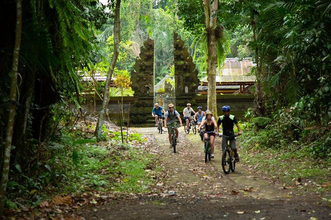 Spiritual Journey with private purification ceremony, local priest - Ubud - Why the purification ceremony is the day’s center