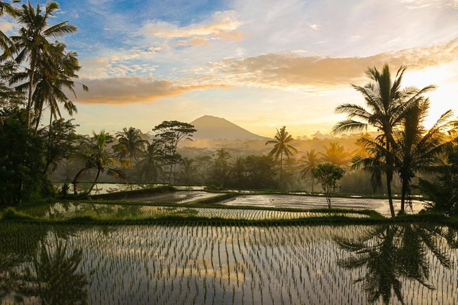 Spiritual Journey with private purification ceremony, local priest - Ubud - The return to Ubud includes more temples