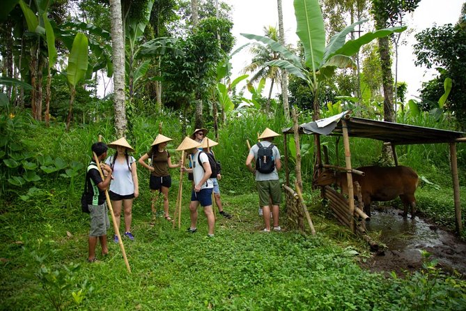 Spiritual Journey with private purification ceremony, local priest - Ubud - What the $120 price really covers