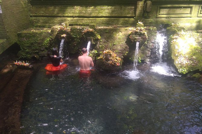 Spiritual Journey with private purification ceremony, local priest - Ubud - Practical details before you reserve